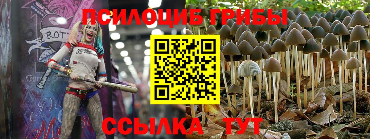 Псилоцибиновые грибы мухоморы Екатеринбург