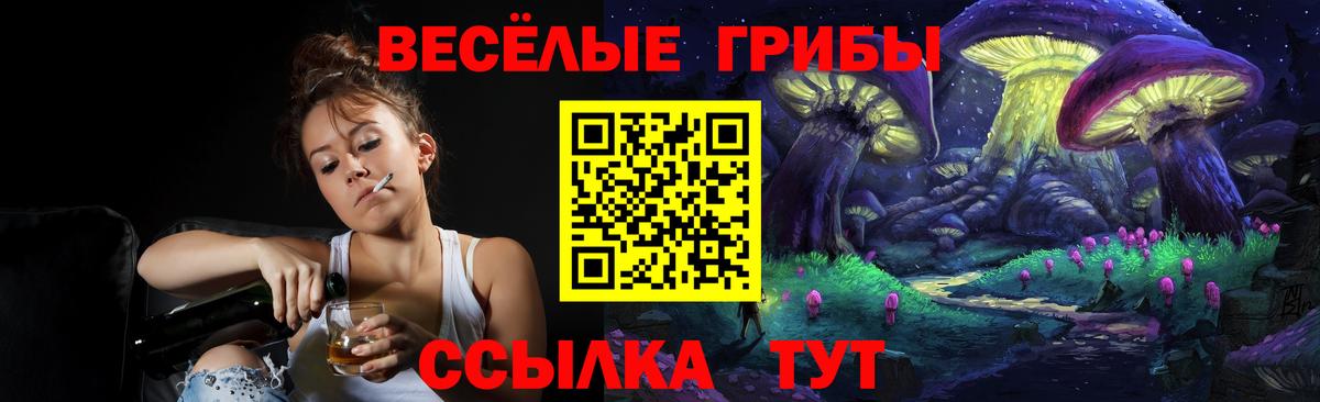 Псилоцибиновые грибы GOLDEN TEACHER  Вход с VPN  Екатеринбург 